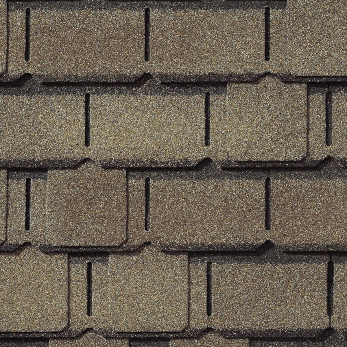Tyme Builder Inc Images