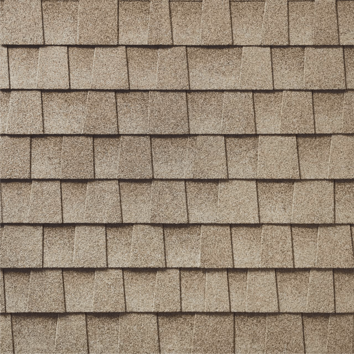 Tyme Builder Inc Images