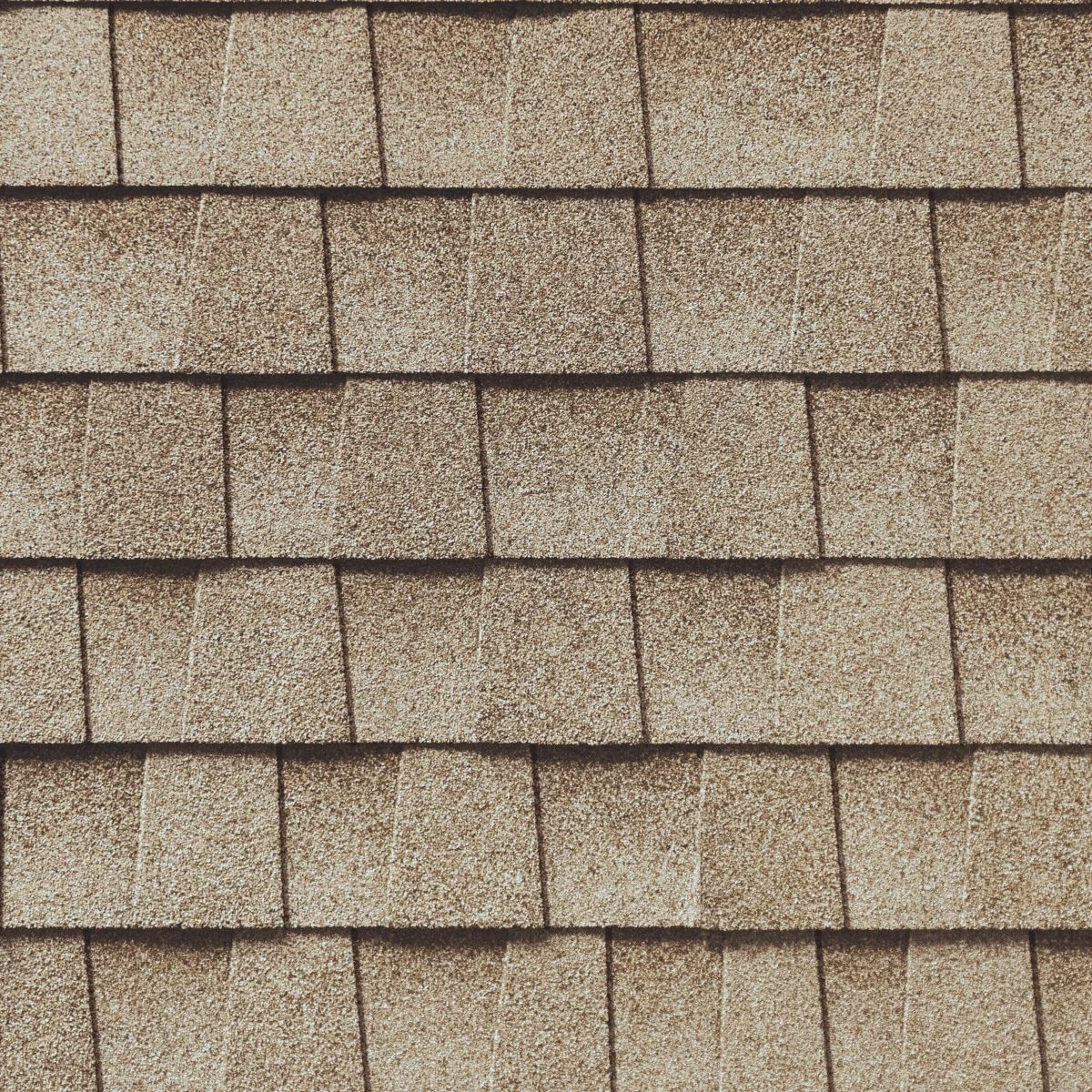Tyme Builder Inc Images