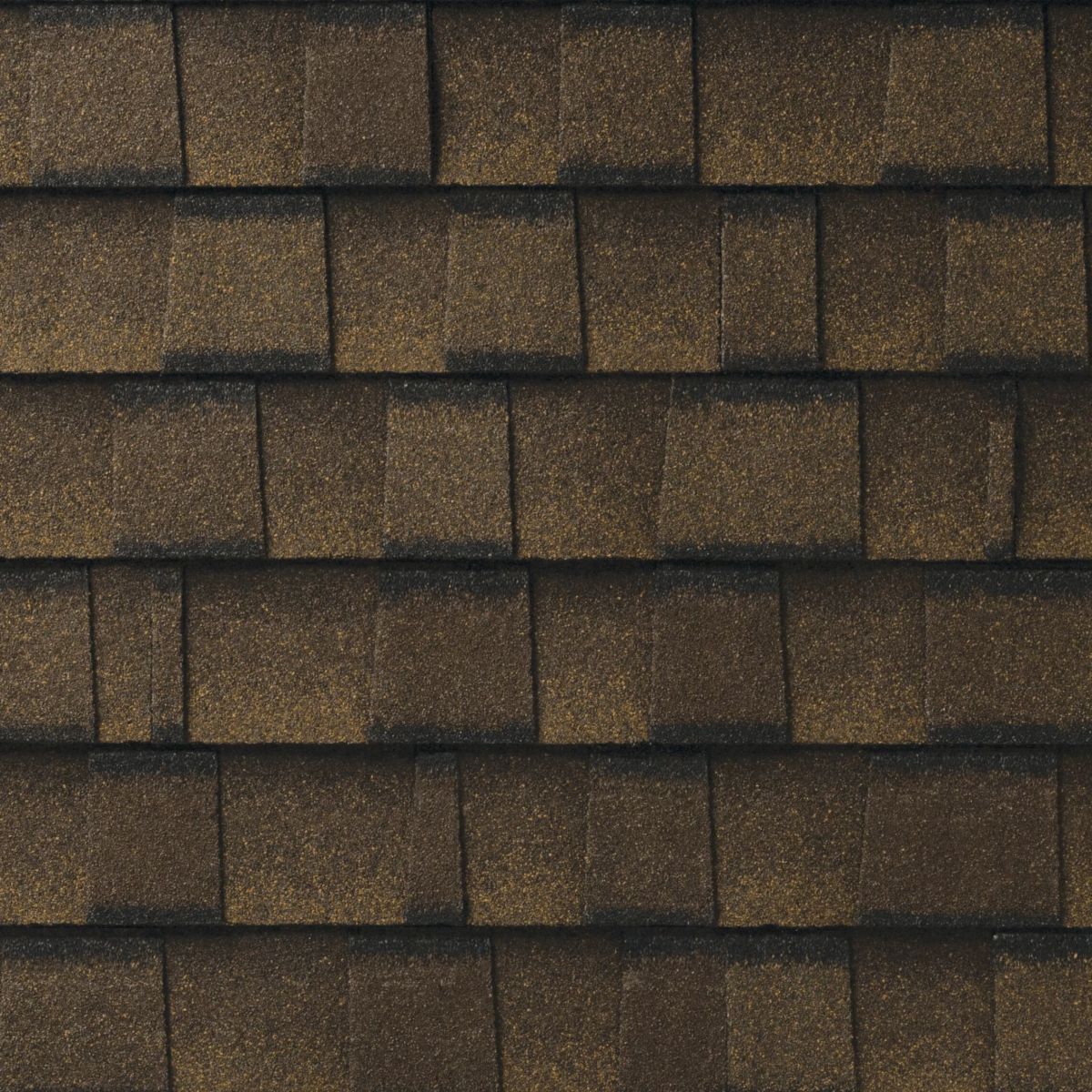 Tyme Builder Inc Images