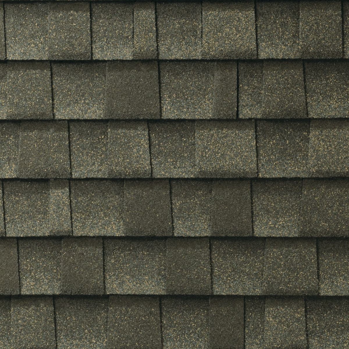 Tyme Builder Inc Images