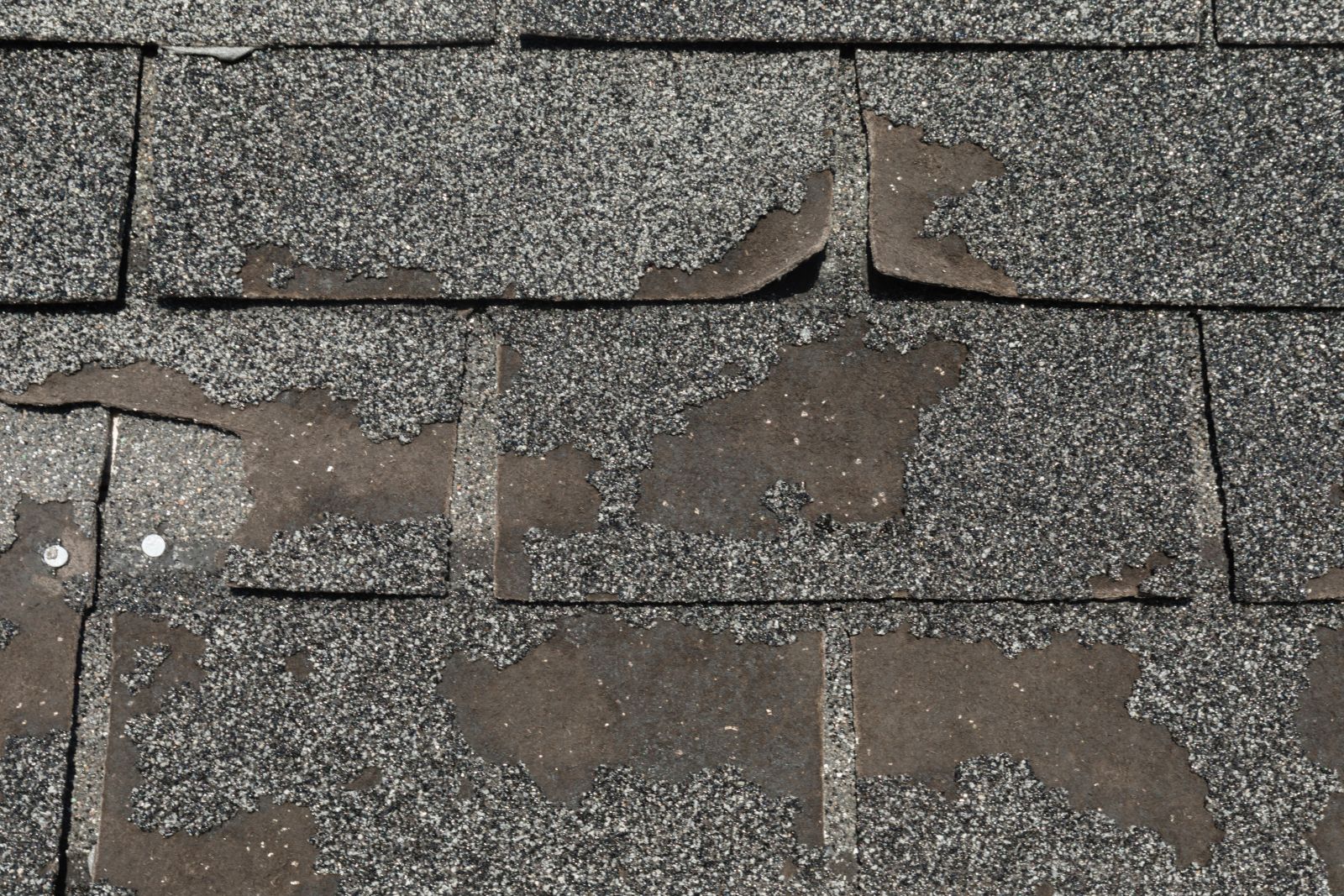 Tyme Builder Inc Images
